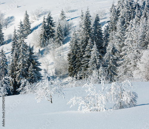 Winter mountain snowy landscape © wildman