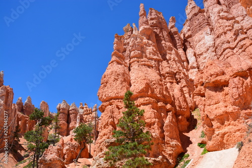 Canvas Print ブライスキャニオン アメリカ brycecanyon