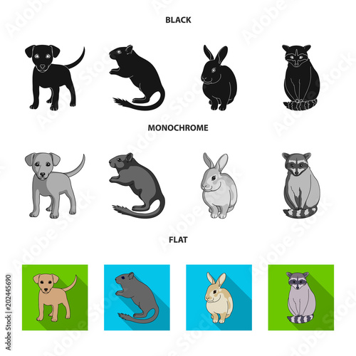 Puppy, rodent, rabbit and other animal species.Animals set collection icons in black, flat, monochrome style vector symbol stock illustration web.