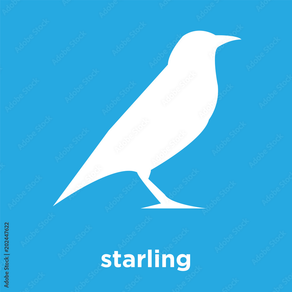 starling icon isolated on blue background starling icon isolated on blue background