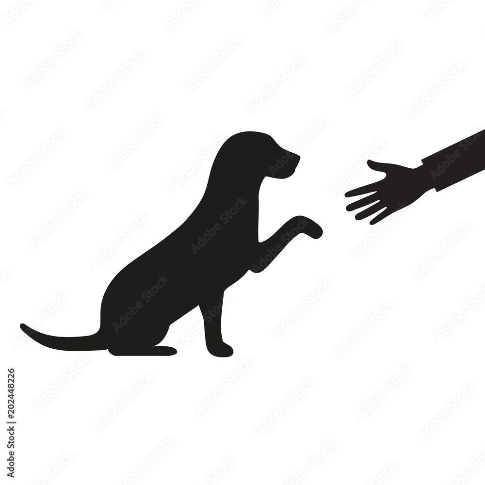 a dog gives a paw to a man on a white background