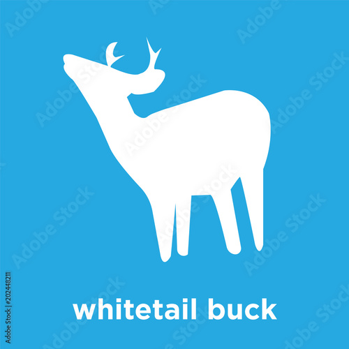 whitetail buck icon isolated on blue background