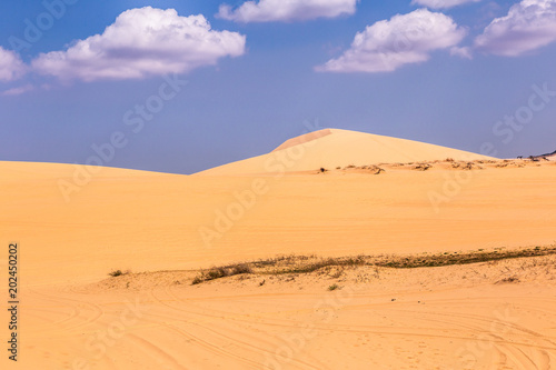 Desert and streaks in Mui Ne, Vietnam is a summer tour where Asian people can enjoy the place.
