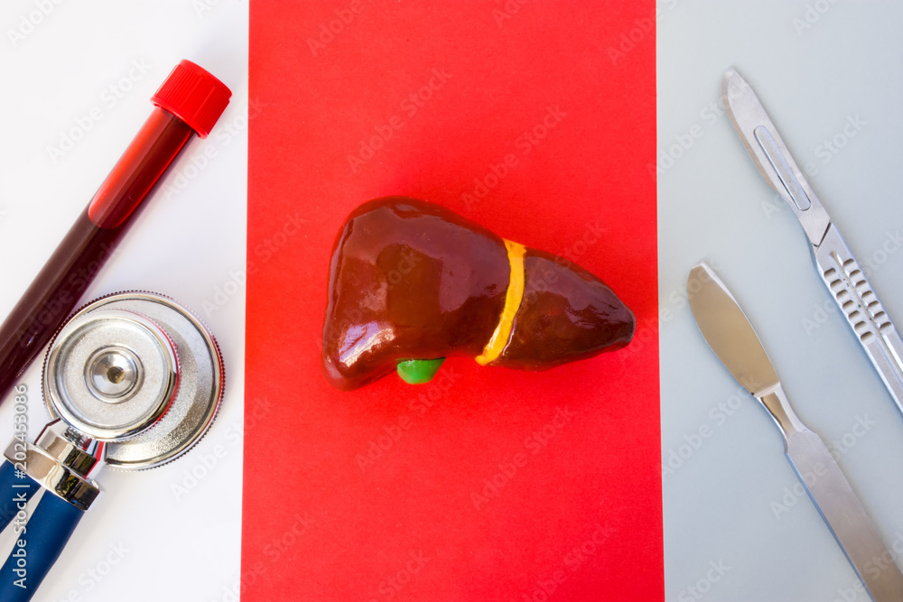 Φωτογραφία Sequence of medical items: stethoscope and laboratory test tube with blood sample, anatomical model of liver, two surgical scalpel on white, red and gray background