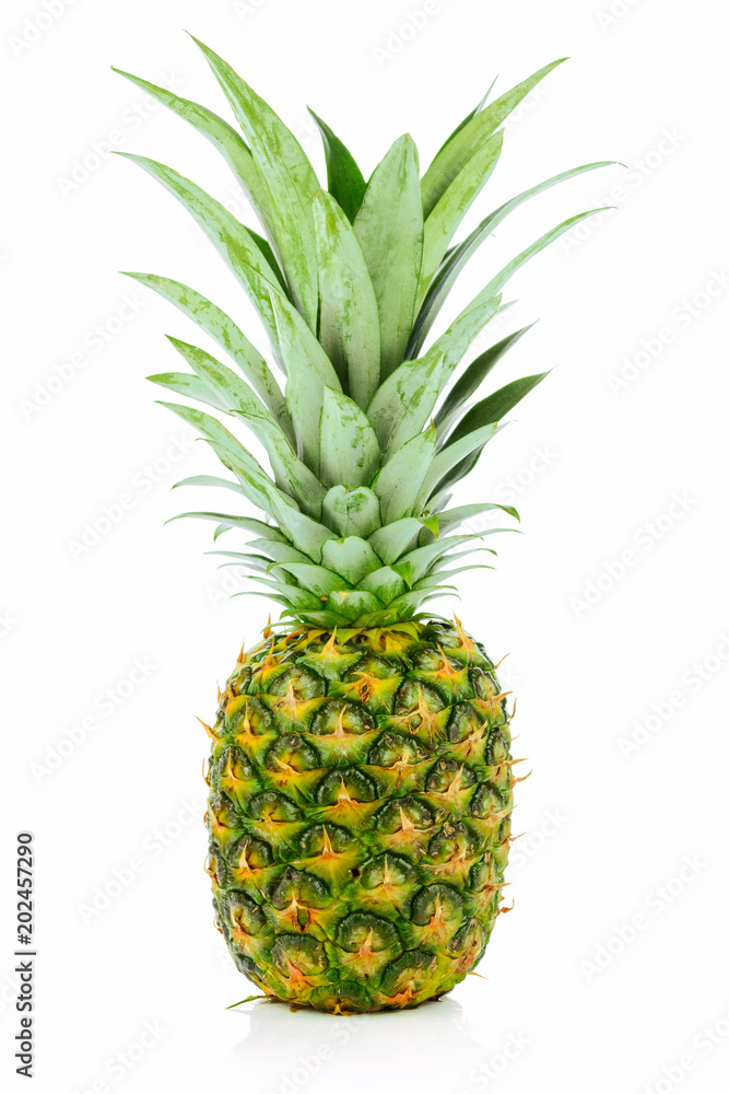 Single ripe and whole pineapple isolated on a white background Single ripe and whole pineapple isolated on a white background