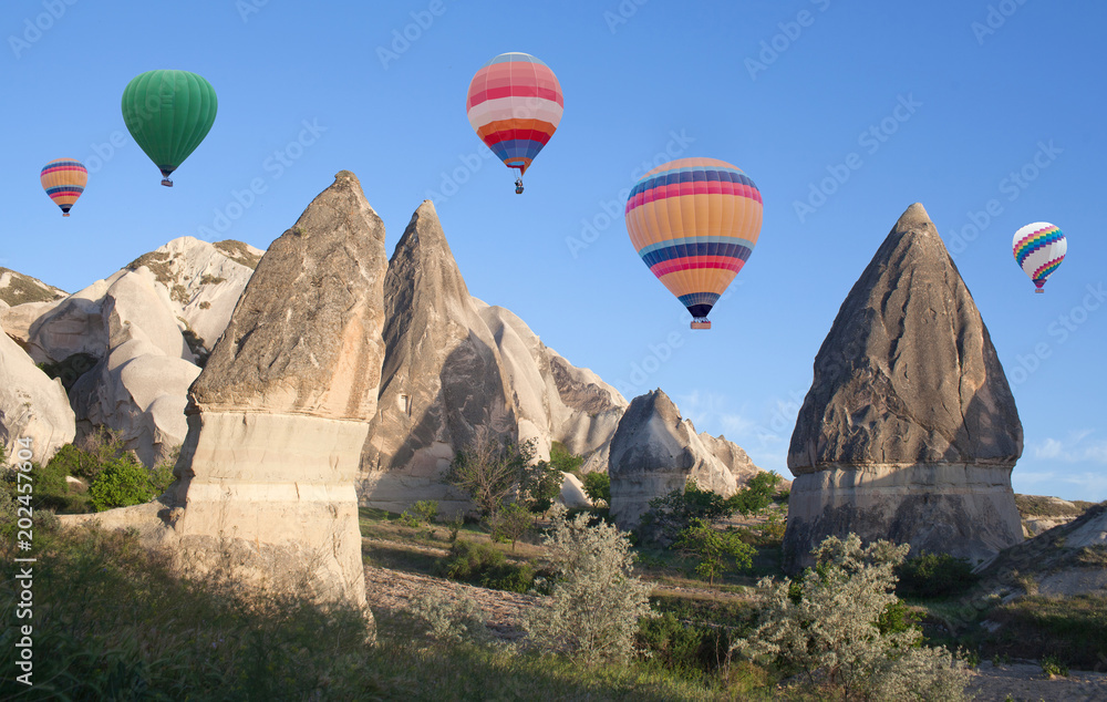 Unique geological formations and colorful hot air balloons flying over Cappadocia, Anatolia, Turkey