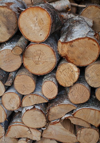 Fototapeta Naklejka Na Ścianę i Meble -  Logs of birch firewood