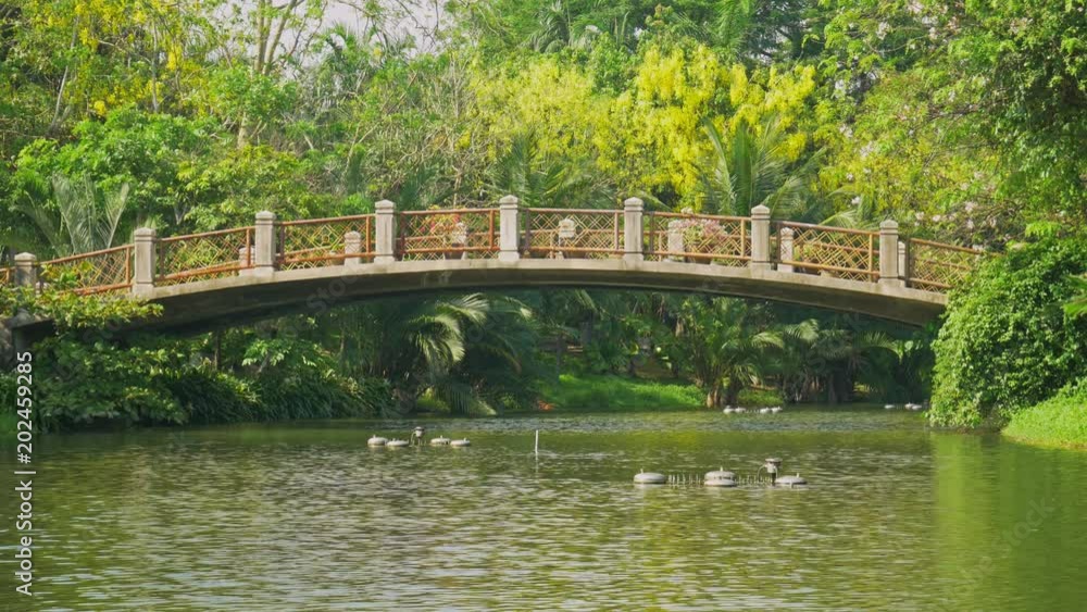 River in the park and lush green trees with old bridges. River in the park and lush green trees with old bridges.