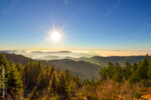 Traumhafte Aussicht auf Schwarzwald / Schwarzwaldhochstrasse