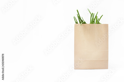 green onion in eco-package on white background. spring natural vitamins