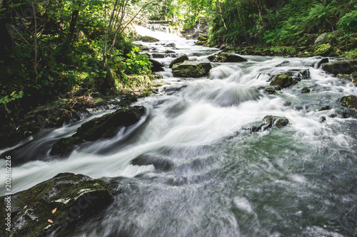 Small river rushing through a green forest on a warm summer.s day