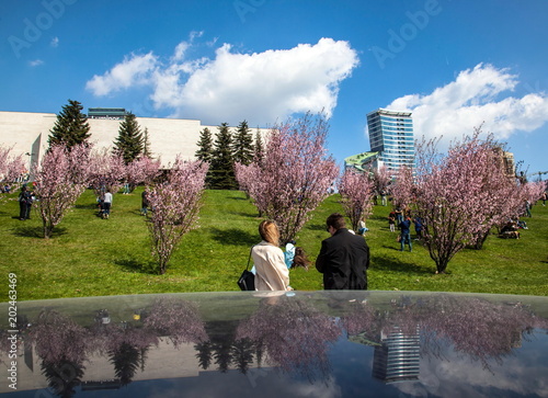 Spring in Vilnius photo