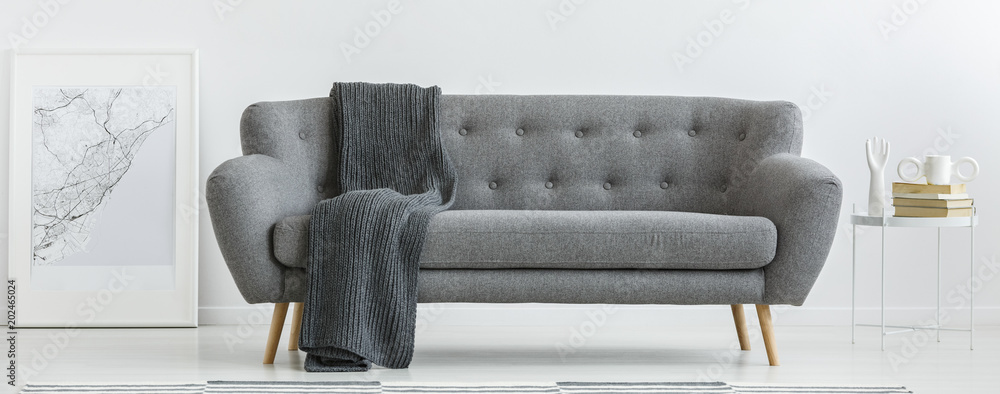 Grey couch with blanket - obrazy, fototapety, plakaty 