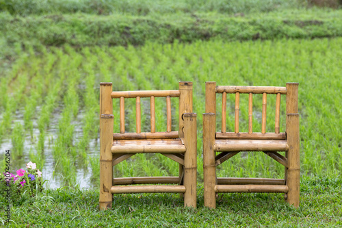 Two wood chairs in the green field.