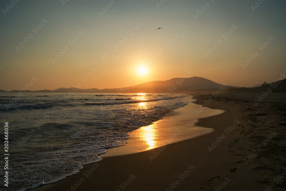 Beautiful landscape of seashore at sunset