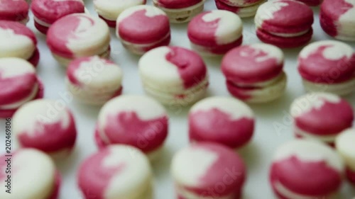 panorama down on many french macaroon on white background photo