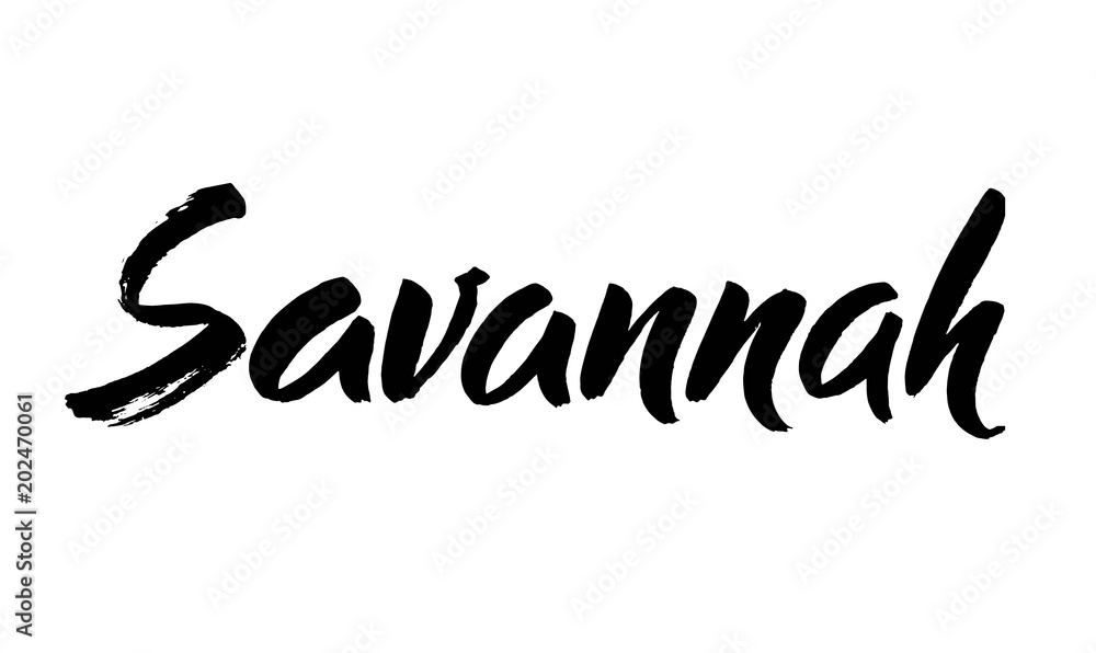 savannah hand drawn lettering isolated on the white background. Typography poster. Usable as background. Modern brush calligraphy. Vector