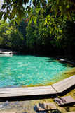 Emerald Pool National Park Krabi