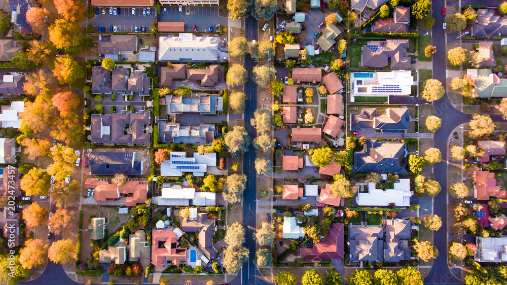 Aerial view of a green leafy suburb