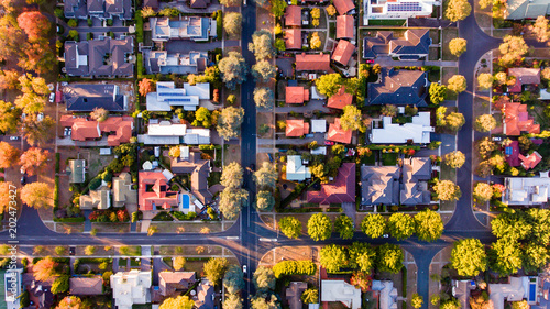 Aerial view of a green leafy suburb