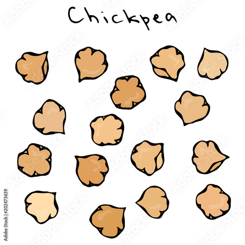 Chickpeas. Detailed Vegetarian Food Drawing. Farm Market Product. Jewish Middle East Cuisine Background. Realistic Hand Drawn Illustration. Savoyar Doodle Style.