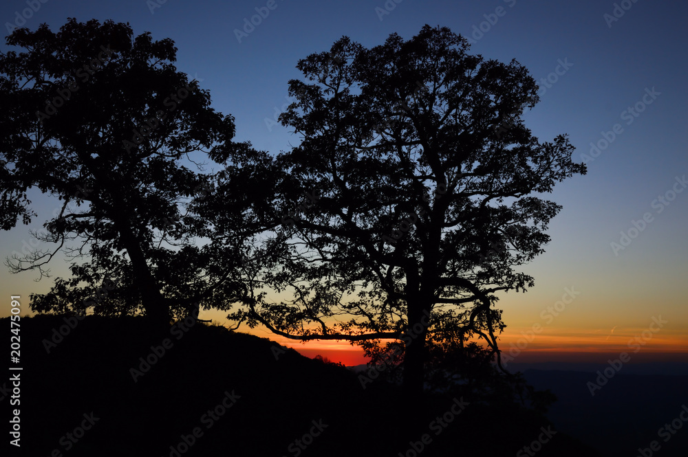 Sunset over the Shenandoah Valley with trees in silhouette