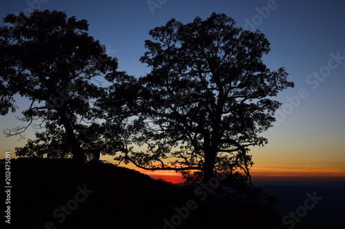 Sunset over the Shenandoah Valley with trees in silhouette