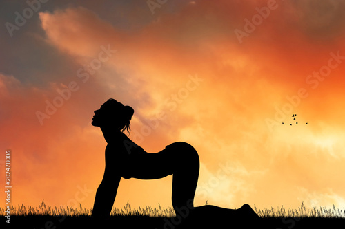 cat pose yoga at sunset