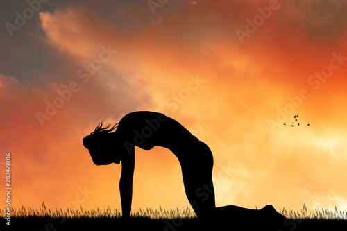 Fototapeta Naklejka Na Ścianę i Meble -  cat pose yoga at sunset