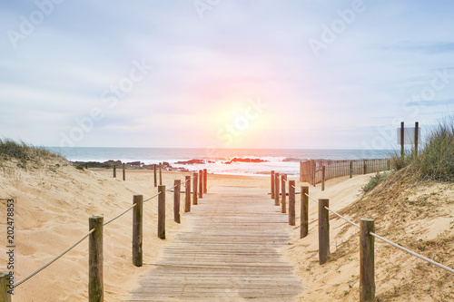 Wooden path on the beach with ocean view