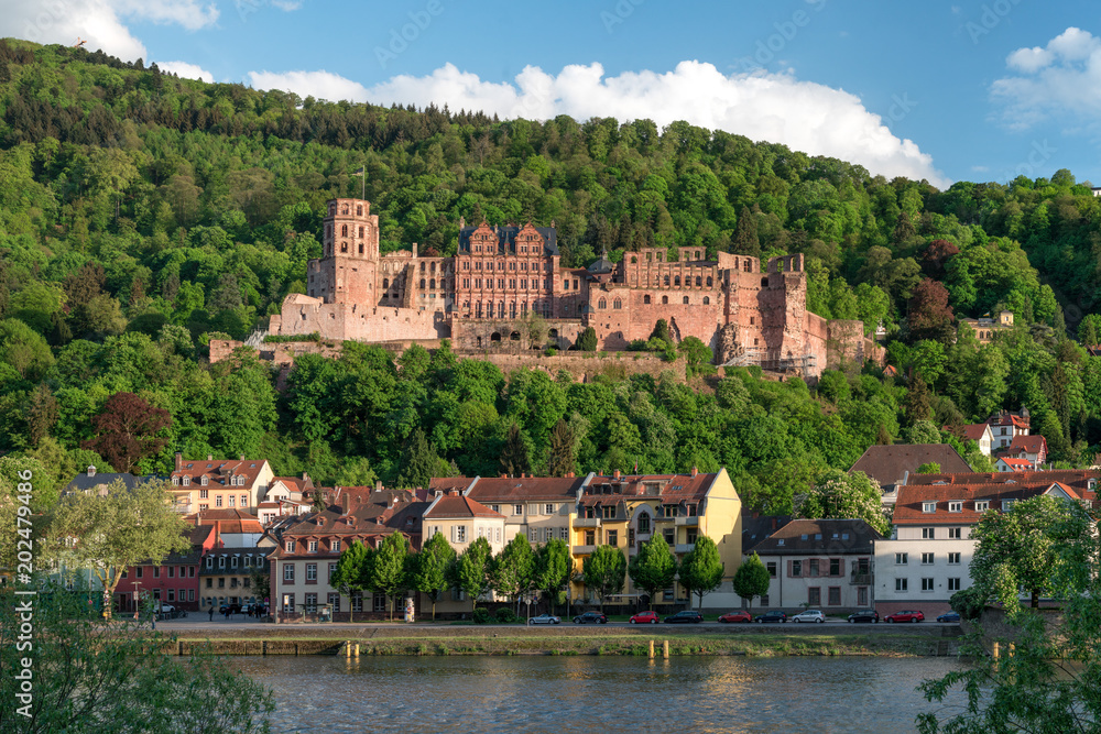 Obraz premium Blick auf Schloss und Altstadt von Heidelberg, Baden-Württemberg, Deutschland