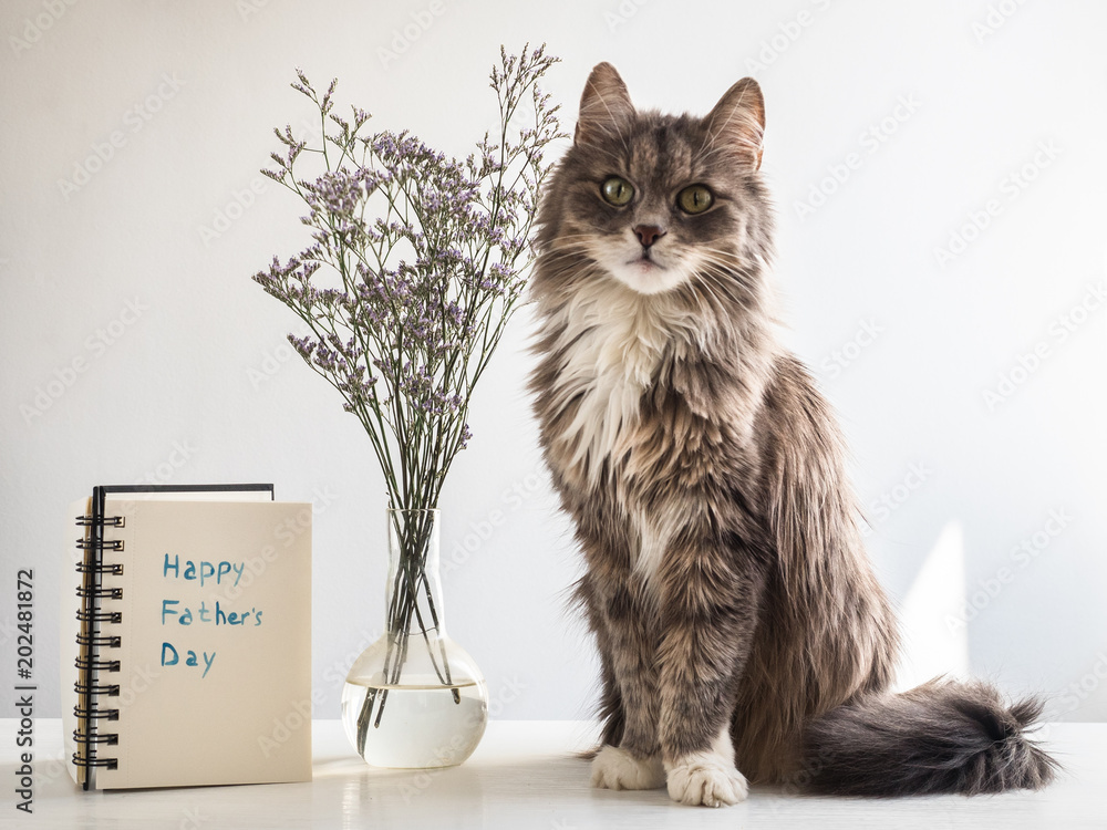 Φωτογραφία Cute, gray, fluffy kitten sitting near the notebook with the inscription of a happy Father's day on a white, isolated background