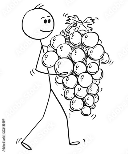 Cartoon stick man drawing conceptual illustration of man carrying big ripe bunch of grapes fruit. Concept of healthy lifestyle and agriculture.