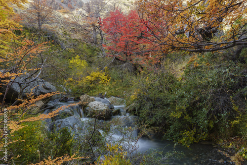 Fototapeta Naklejka Na Ścianę i Meble -  Autumn postcard from Patagonia