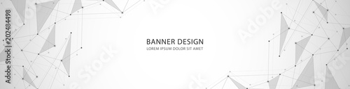 Vector banner design, network connection with lines and dots