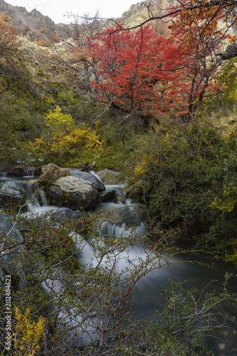 Autumn postcard from Patagonia © Pedro Suarez