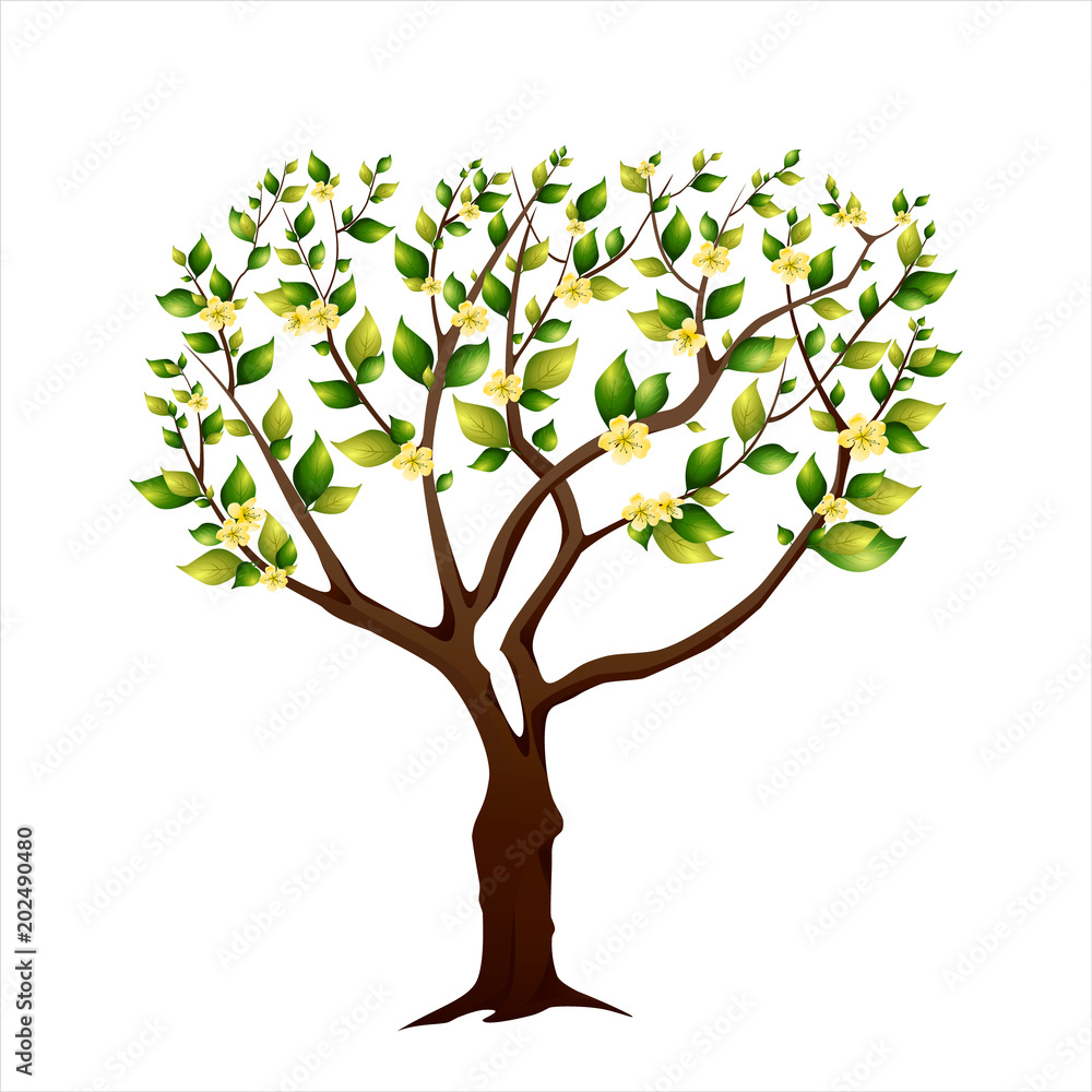 Blossoming spring tree Blossoming spring tree