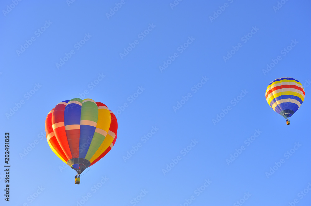 Obraz premium バルーンフェスティバル 