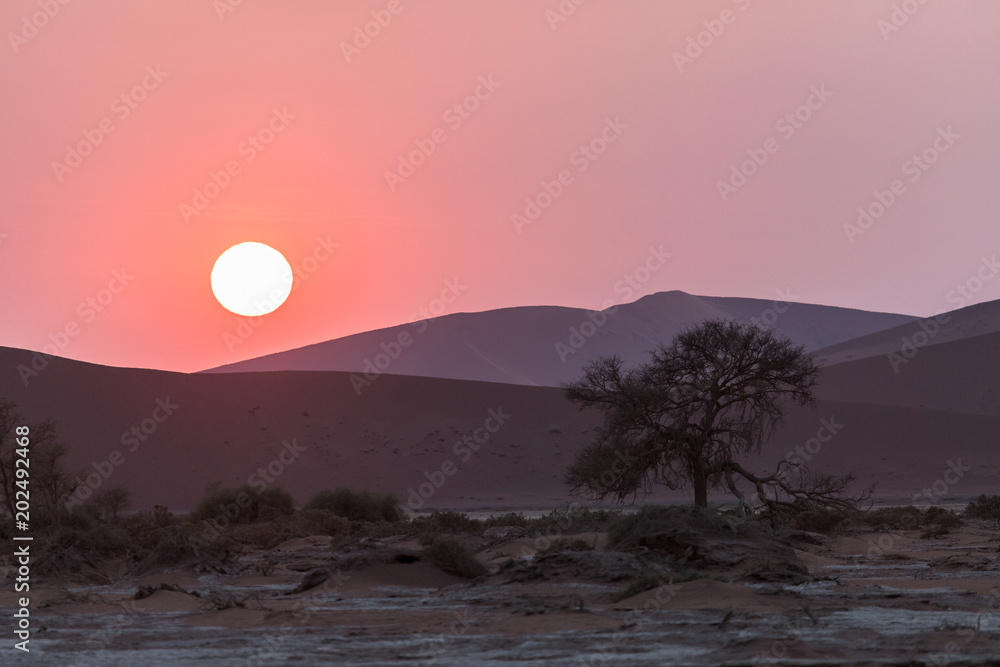Fototapeta premium Sossusvlei, lever de soleil