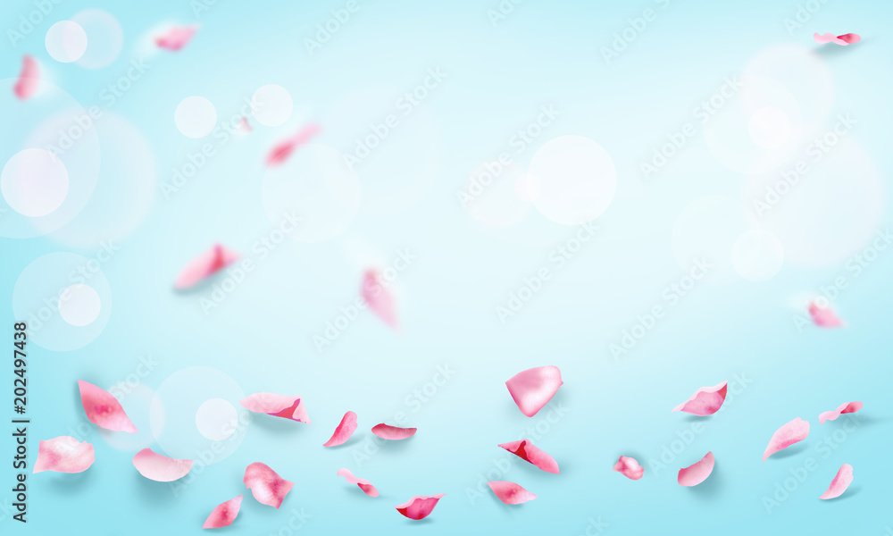 Rose petals falling, floral blurred, bokeh lights romance wallpaper for spa or wedding,  women's day, anniversary, romance, love, decoration, mockup pastel, copy space for text