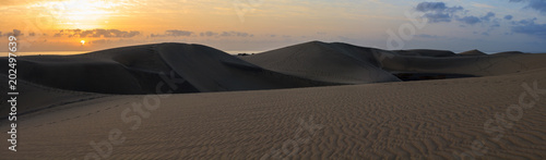 Panoramic landscape of sand dunes of Maspalomas  Gran canaria island.