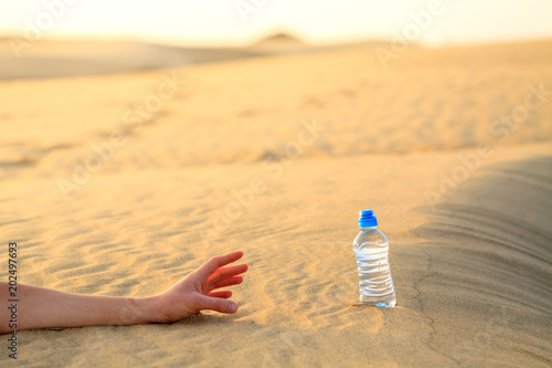 Hand try to catch the bottle of water on sand desert in hot temperature. Concept of to die of thirst. photo