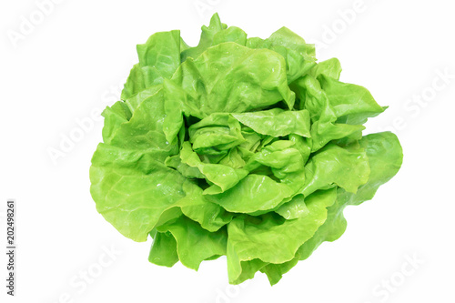 Top view of a fresh and ideal green lettuce with water drops on a white background (high details).