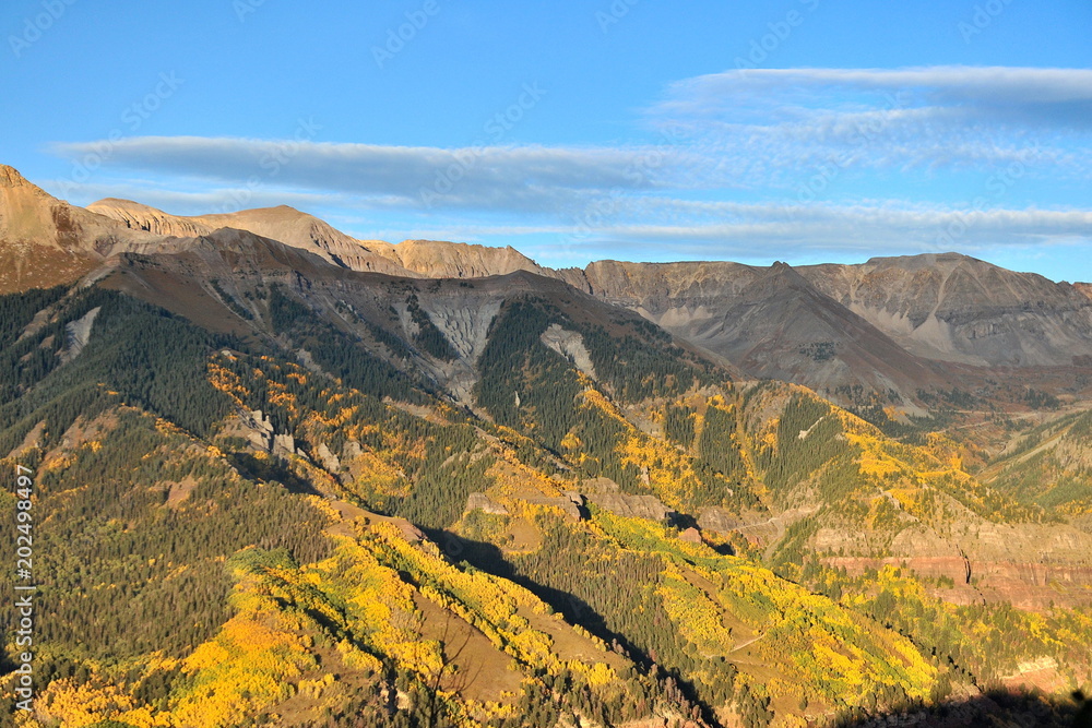 Fabulously beautiful aspen forests in autumn in Colorado