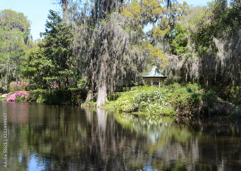 Fototapeta premium Beautiful Plantation Garden