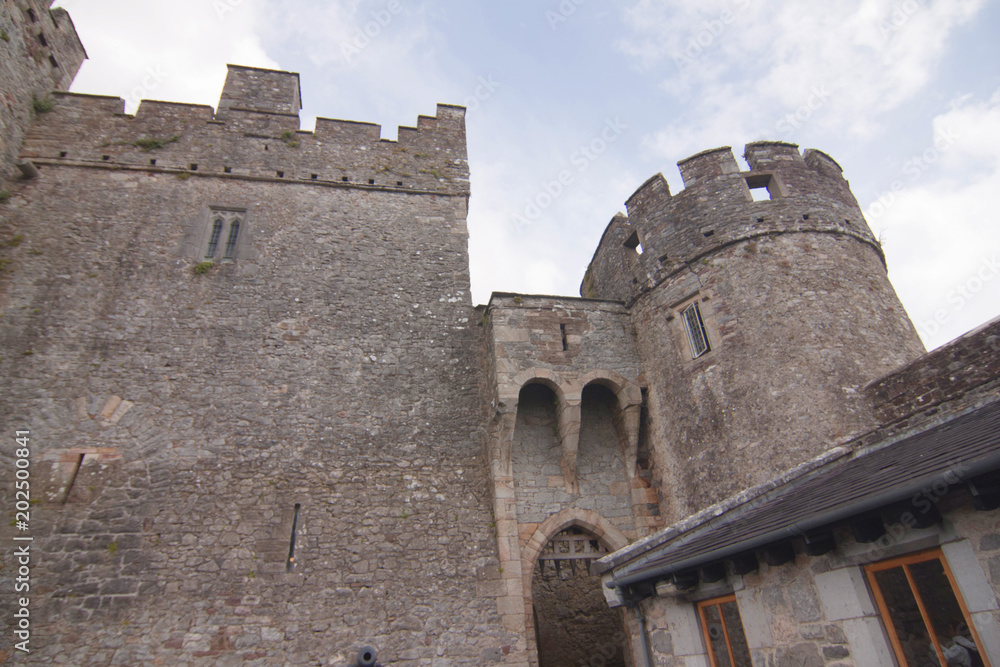 Ross castello Caislean Ross Killarney Irlanda 