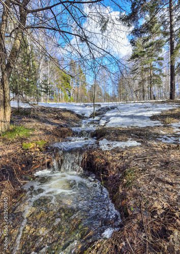Early spring landscape in forest with melting snow and brooks
