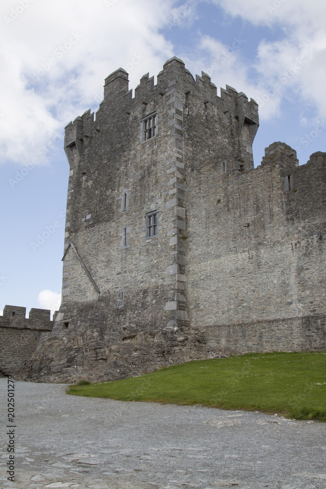Ross castello Caislean Ross Killarney Irlanda 
