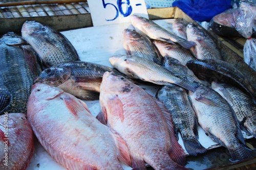 Fresh fish for cooking in the market