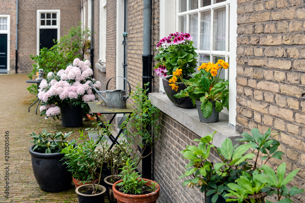 Flowering potted plants in a beguinage